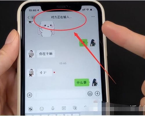 skype怎么知道对方是你好友,如何确认对方身份