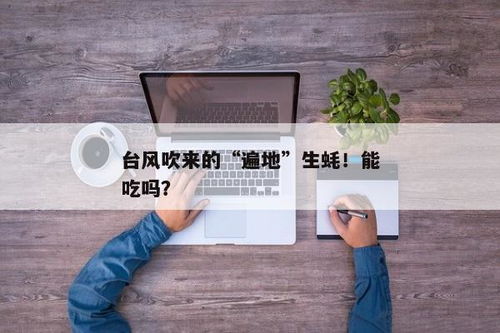 usdt官网钱包怎么买,USDT官网钱包购买全攻略